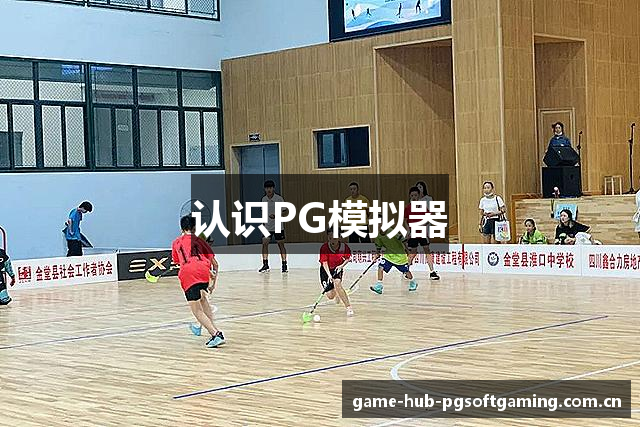 认识PG模拟器
